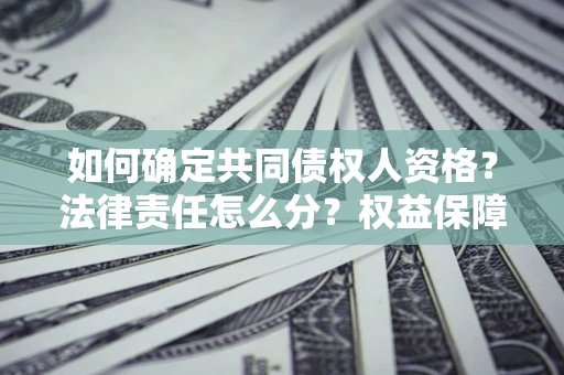 济南如何确定共同债权人资格？法律责任怎么分？权益保障技巧揭秘！