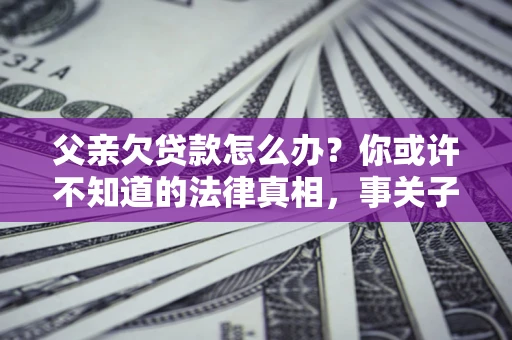 济南父亲欠贷款怎么办？你或许不知道的法律真相，事关子女未来